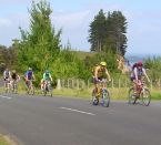 Rennradtour von Bluff nach Picton
